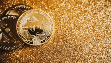 cryptomonnaies